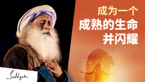 如何一直保持动力？