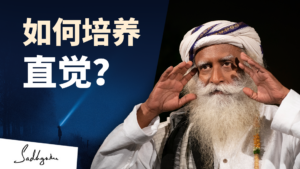 如何培养直觉？