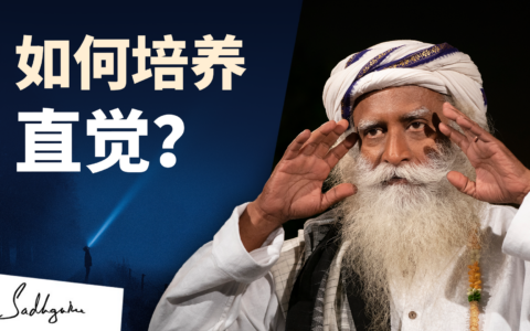 如何培养直觉？