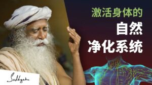 激活身体的自然净化系统