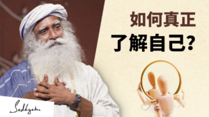 如何全面了解自己——萨古鲁在创业家协会（EO）会议上的回答