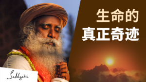生命的真正奇迹