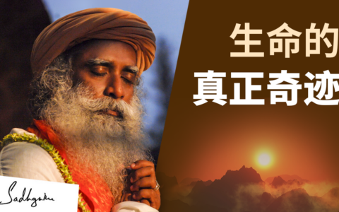 生命的真正奇迹