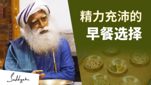 萨古鲁让一天精力充沛的秘诀