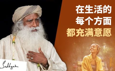 如何在生命的各个方面都成为一名志愿者？