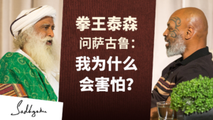 拳王泰森问萨古鲁：我为什么会害怕？