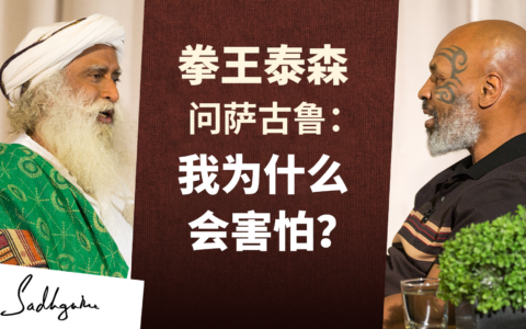 拳王泰森问萨古鲁：我为什么会害怕？