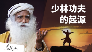 少林功夫的起源