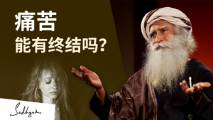 痛苦的终结