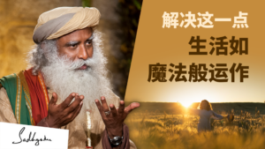 让自己成为解决方案，而非问题本身