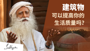 建筑物可以提高你的生活质量吗？