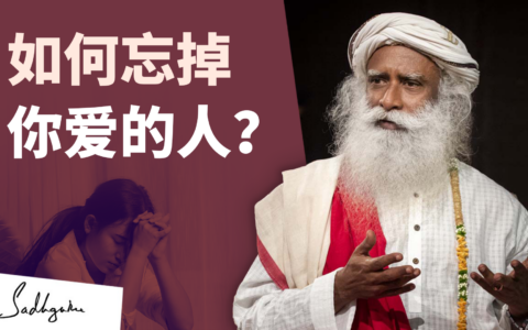 如何忘掉你爱的人？