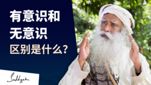 有意识和无意识的的区别是什么？