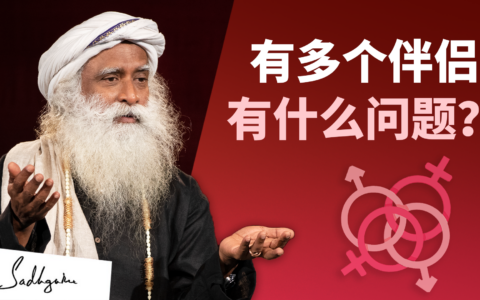 有多个伴侣——有什么问题？