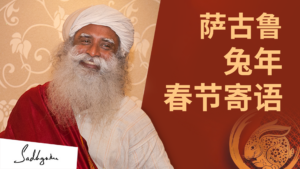 萨古鲁兔年春节寄语