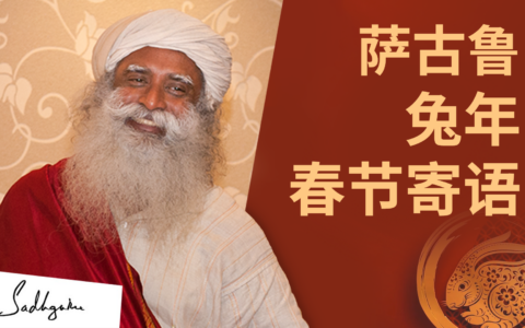 萨古鲁兔年春节寄语