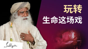 如何玩转生命的戏剧？
