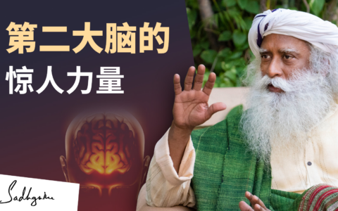 第二大脑的惊人力量