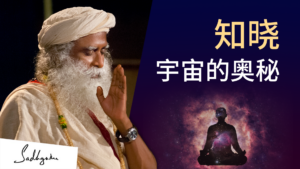 瑜伽士如何知晓宇宙的奥秘？