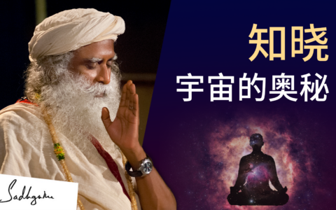 瑜伽士如何知晓宇宙的奥秘？