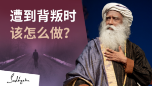 当有人背叛你的信任时该怎么做？