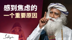 感到焦虑的一个重要原因