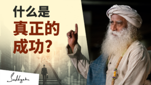 什么是真正的成功？