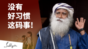 没有好习惯这码事！