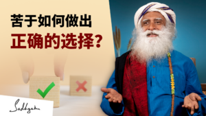 当你困惑时该怎么办？
