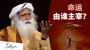 有人控制着我们的命运吗?