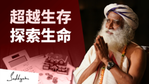 超越生存的局限，探索生命