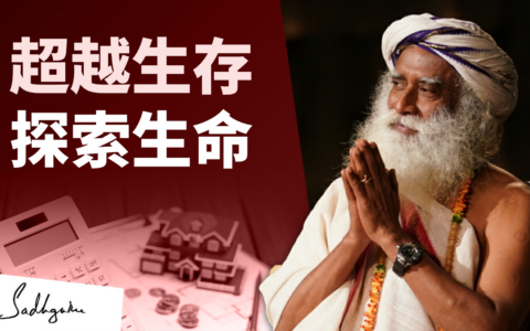 超越生存的局限，探索生命