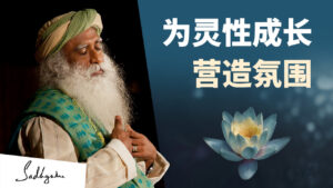 为灵性成长营造氛围