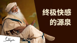 松果体——远比性更大的愉悦