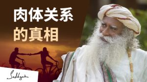 肉体关系的真相