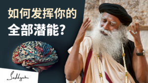 如何发挥你的全部潜能？