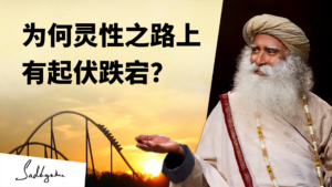 为何灵性之路上有起伏跌宕？