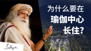 为什么一个人要在瑜伽中心长住？