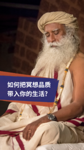 把冥想品质带入你的生活
