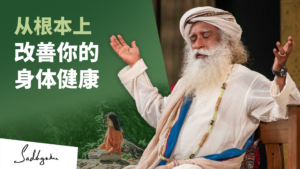 健康——与造物之源为伴