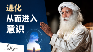 进化从而进入意识