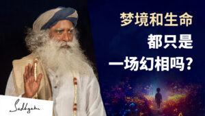 梦境和生命只是一场幻相吗？