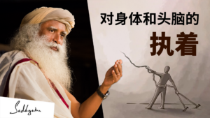 对身体和头脑的执着