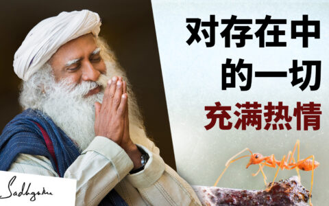 对存在中的一切充满热情