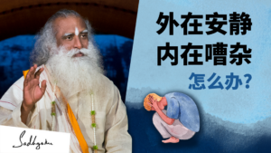 一个灵性追求者如何远离干扰