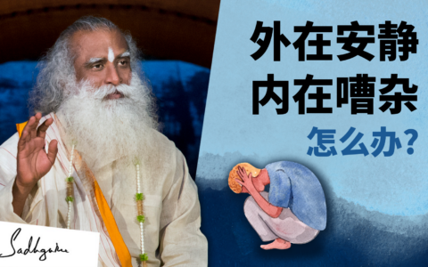 一个灵性追求者如何远离干扰