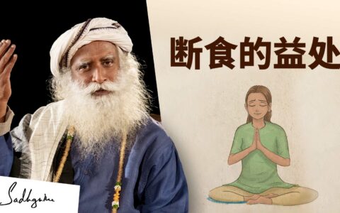 断食如何转化你的健康