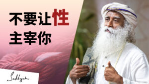 不要让性主宰你