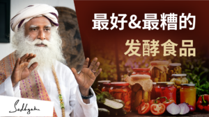 对肠道健康最好和最糟糕的发酵食品