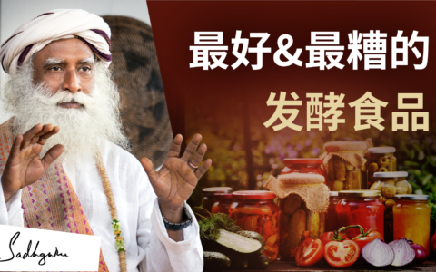 对肠道健康最好和最糟糕的发酵食品